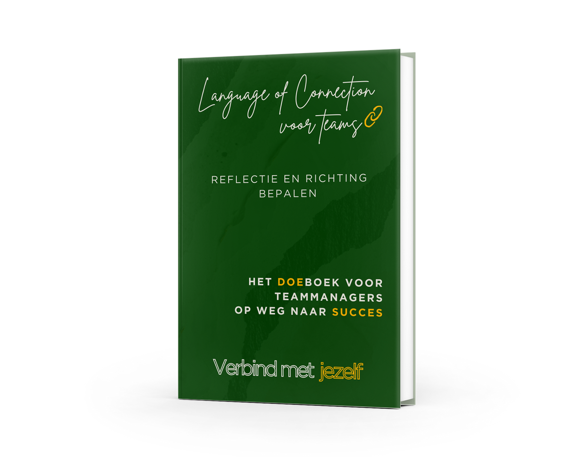 Cover boek Reflectie en richting bepalen voor teammanagers