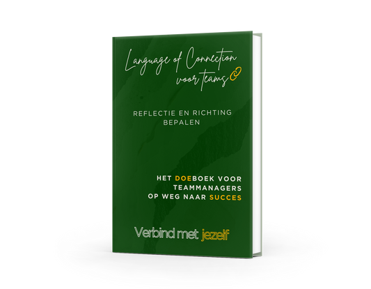Cover boek Reflectie en richting bepalen voor teammanagers