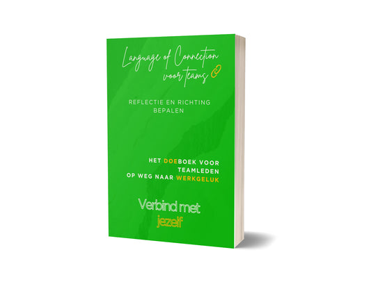 NL softcover Reflectie en richting bepalen voor teamleden